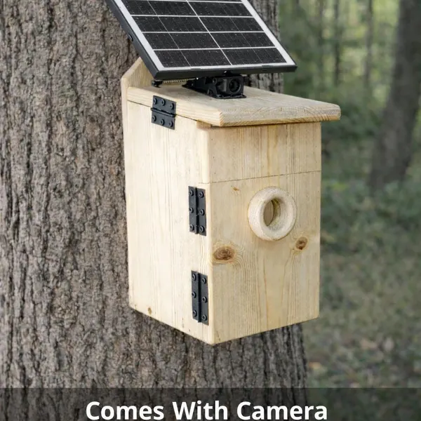 Compact wildlife camera nest box mounted on a tree with a solar panel visible