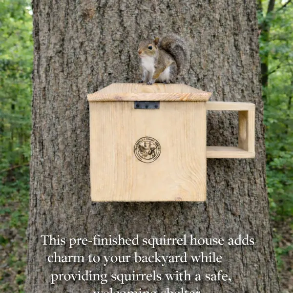 Wooden squirrel house with a built in perch ramp handle, squirrel on top