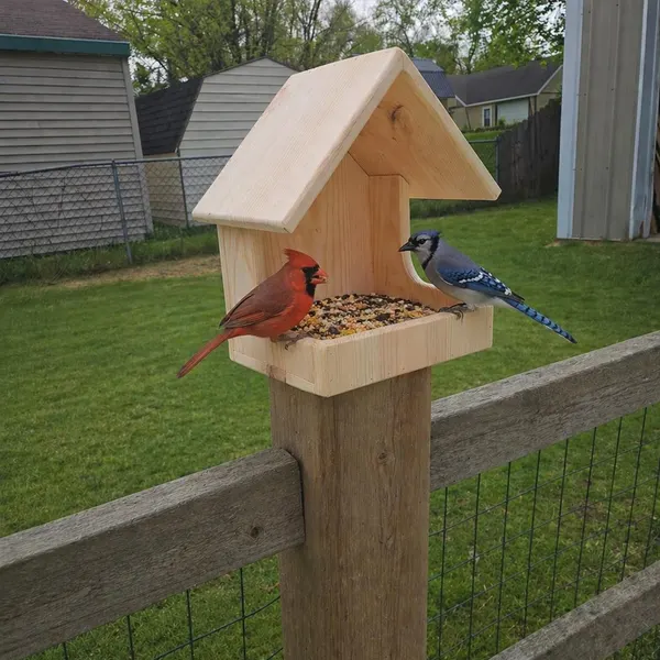 Wooden bird feeder house on a fence post with a cardinal and blue jay feeding